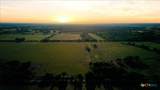 5610 County Road 174 - Tract 7 - Photo 9