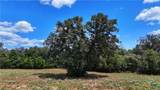 Tract 5 State Highway 304 - Photo 11