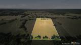 5610 County Road 174 - Tract 6 - Photo 3