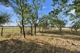 5610 County Road 174 - Tract 6 - Photo 6