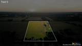 5610 County Road 174 - Tract 5 - Photo 3