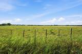 5610 County Road 174 - Tract 5 - Photo 4
