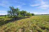 5610 County Road 174 - Tract 5 - Photo 5