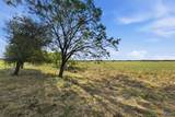 5610 County Road 174 - Tract 1 - Photo 9