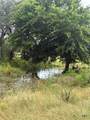 TBD County Road 200 - Photo 1