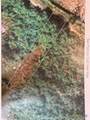 524 Whitney Street - Photo 1