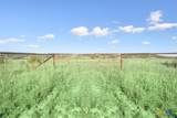 2365 County Road 3270 - Photo 5