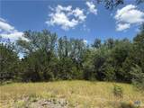 1038 Kenton Parkway - Photo 9