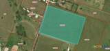 TBD Smith Dairy Rd Road - Photo 1