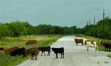 0 Pitchfork Ranch Road - Photo 2