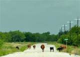 0 Pitchfork Ranch Road - Photo 3