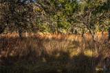 1260 County Road 2001 - Photo 13