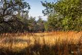 1260 County Road 2001 - Photo 14