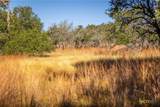 1260 County Road 2001 - Photo 15