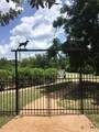 13420 Lyndhurst Street - Photo 9