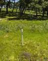 99 Axis Circle - Photo 3