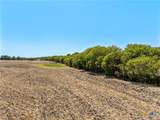 TBD +/- 12 Acres T M West Parkway - Photo 3