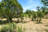 100 Bobcat Cir. - Photo 8