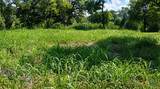 Lot 5 Blk 1st Avenue - Photo 5