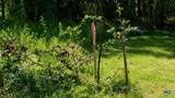 Lot 5 Blk 1st Avenue - Photo 7