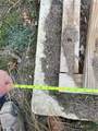 345 Cactus Circle - Photo 3