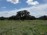 209 Rice Road - Photo 11