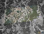 Lot 15 Pr 2535 - Photo 7
