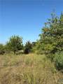 TBD Lamotte Drive - Photo 3