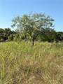 TBD Lamotte Drive - Photo 4