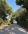 TBD Lamotte Drive - Photo 6