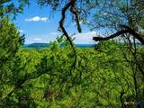 TBD Piedras Pass - Photo 2