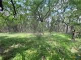 TBD Piedras Pass - Photo 5