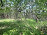TBD Piedras Pass - Photo 6
