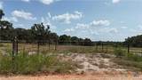 6038 County Road 234 - Photo 10