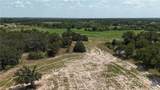 6038 County Road 234 - Photo 11