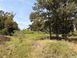 6038 County Road 234 - Photo 20