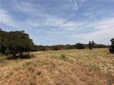 6038 County Road 234 - Photo 21