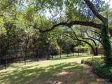 2702 Amber Forest Trail - Photo 29