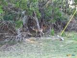 4969 Goliad Drive - Photo 8