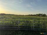 153 County Road 243 - Photo 2