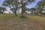338 Sheridan Drive - Photo 12