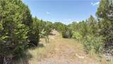 TBD S Hwy 281 - Photo 7