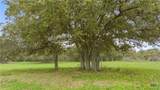 778 County Road 123 - Photo 36