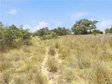 963 Summit Ridge Trail - Photo 13