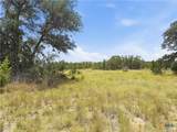 963 Summit Ridge Trail - Photo 20