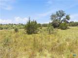 963 Summit Ridge Trail - Photo 8