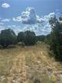 14612 Honeycomb Drive - Photo 14