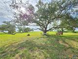 Lot 53 Driftwood Shores - Photo 31