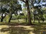 468 Riverside Drive - Photo 3