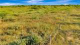 157 Brushy Creek Road - Photo 11